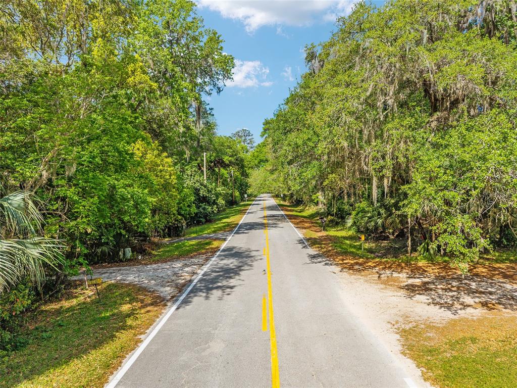 A paved road with a yellow center line runs through a dense, tree-lined forest — 227 SE TUSCAWILLA ROAD, MICANOPY, FL