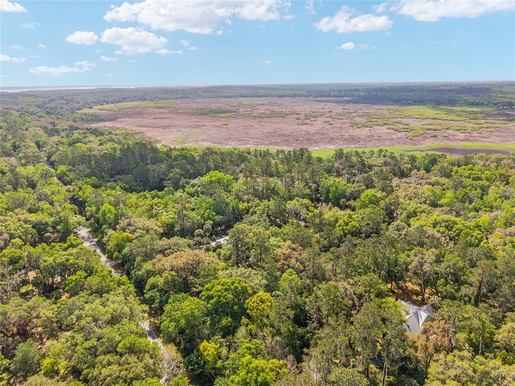 An aerial view shows a house nestled in a dense forest bordering a large marsh — 227 SE TUSCAWILLA ROAD, MICANOPY, FL