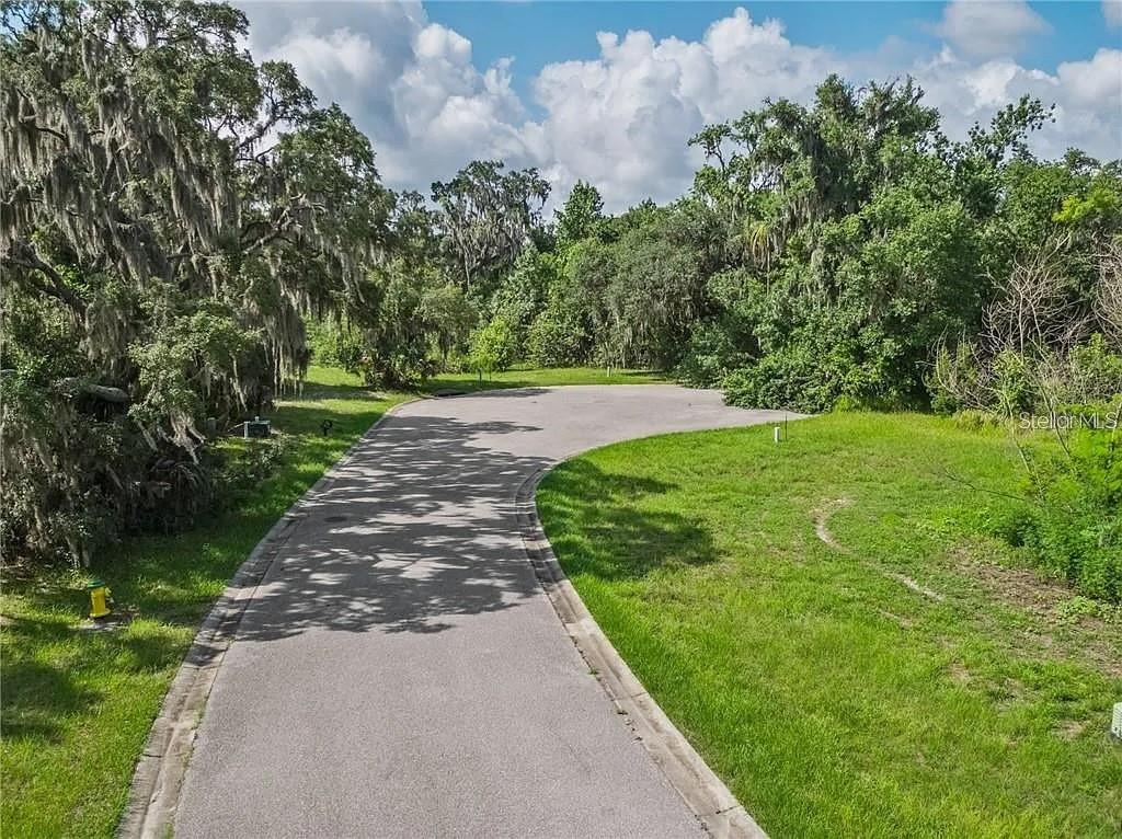 8353 ALAFIA POINTE DRIVE, RIVERVIEW, FL — photo 2 of 7