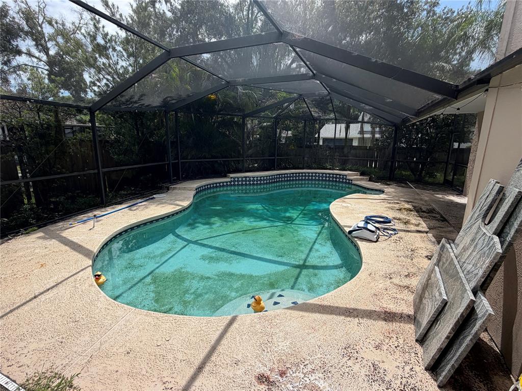 An outdoor swimming pool with a screen enclosure and a concrete deck — 4601 FARMHOUSE DRIVE, TAMPA, FL