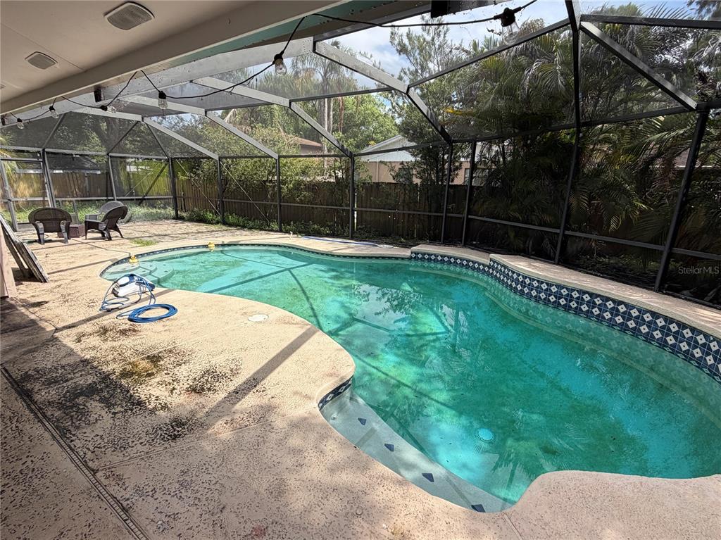 A screened-in patio features a kidney-shaped swimming pool with a decorative tile border — 4601 FARMHOUSE DRIVE, TAMPA, FL