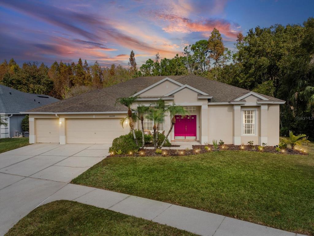 26249 SWORD DANCER DRIVE