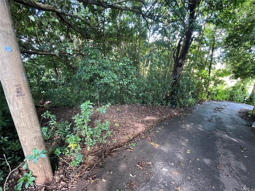 A paved road curves past a wooden utility pole and a dense, wooded area — CARR 347 KM 1.6 BO SABANA GRANDE ABAJO, SAN GERMAN, PR