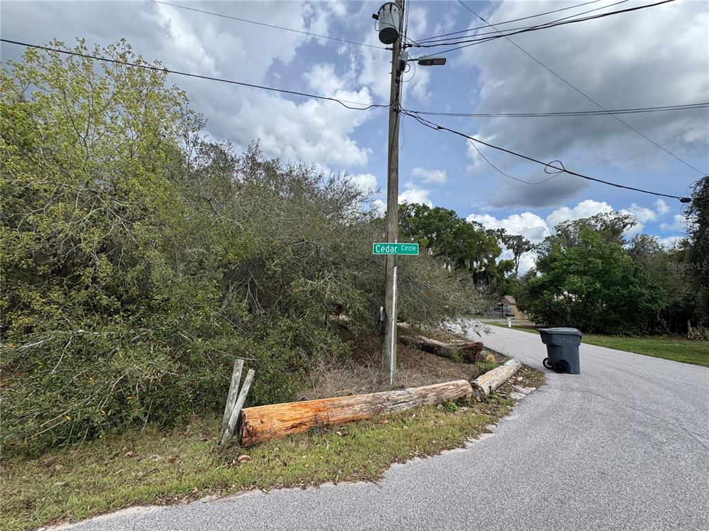 A street sign for Cedar Circle stands near a wooded lot and a paved road — CEDAR CIRCLE, LAKE WALES, FL