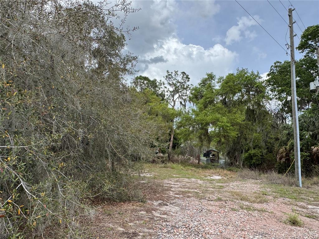 A view of a wooded, undeveloped lot with a gravel path and utility pole — CEDAR CIRCLE, LAKE WALES, FL
