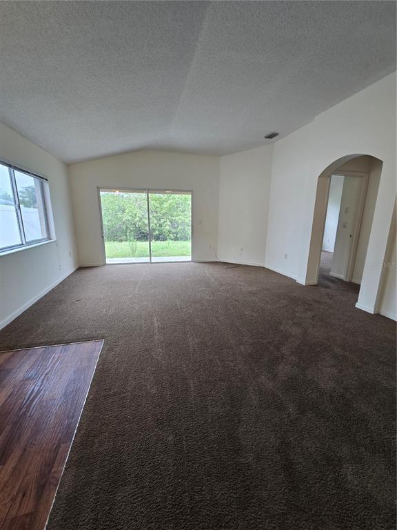 A spacious living room features brown carpeting, a vaulted ceiling, and sliding glass patio doors — 12932 FIELDMOOR COURT, RIVERVIEW, FL