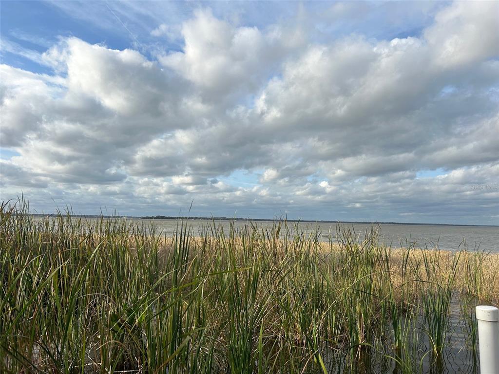 A view of a lake with tall grasses in the foreground under a cloudy sky — WATERVIEW DRIVE, LEESBURG, FL