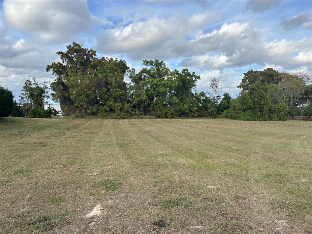 A wide, mowed grassy lot features a dense line of trees in the background — WATERVIEW DRIVE, LEESBURG, FL