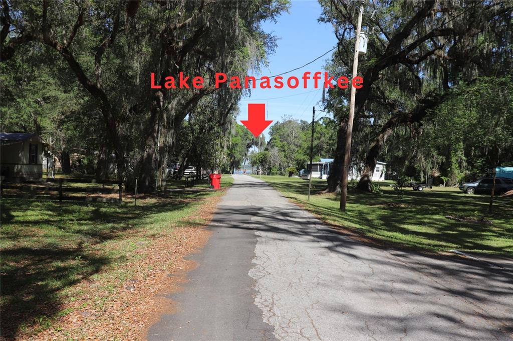 A paved road leads toward a view of Lake Panasoffkee framed by large oak trees — 2466 CR 401A, LAKE PANASOFFKEE, FL