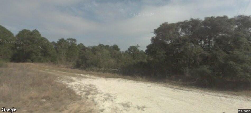 A single-story house with a garage and lawn sits next to a wooded area — 2530 N Todd Road, FL 33825, FL