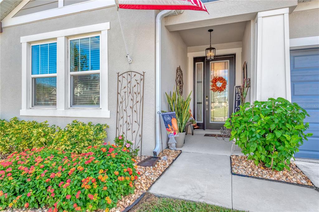 The exterior of a house features a front porch, a glass-paneled door, and landscaping — 7213 TALAMORE DRIVE, WESLEY CHAPEL, FL