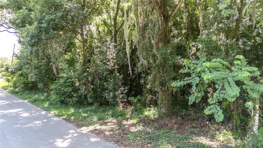 3RD STREET, LEESBURG, FL — photo 3 of 14
