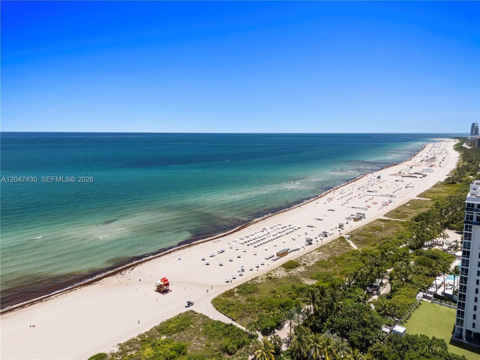 An aerial view shows a sandy beach with a lifeguard tower and oceanfront vegetation — 2457 Collins Ave # 406, Miami Beach FL 33140, MIAMI BEACH, FL