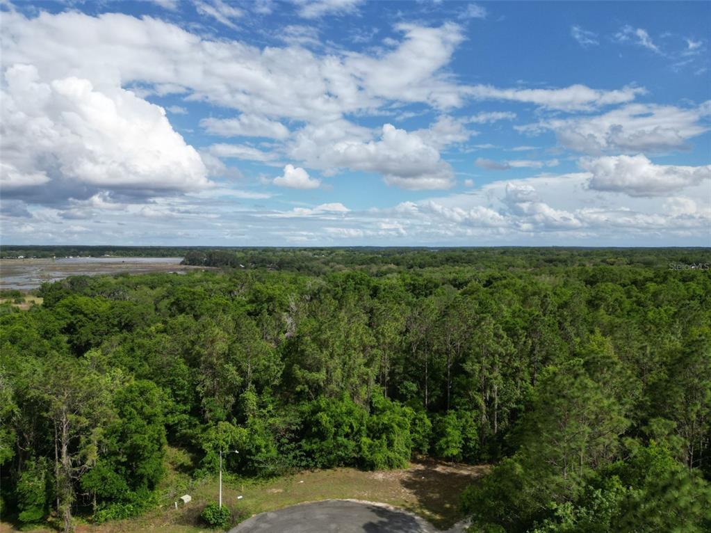An aerial view shows a paved cul-de-sac bordering a dense forest and a distant marsh — 0000 SE 119 STREET, BELLEVIEW, FL
