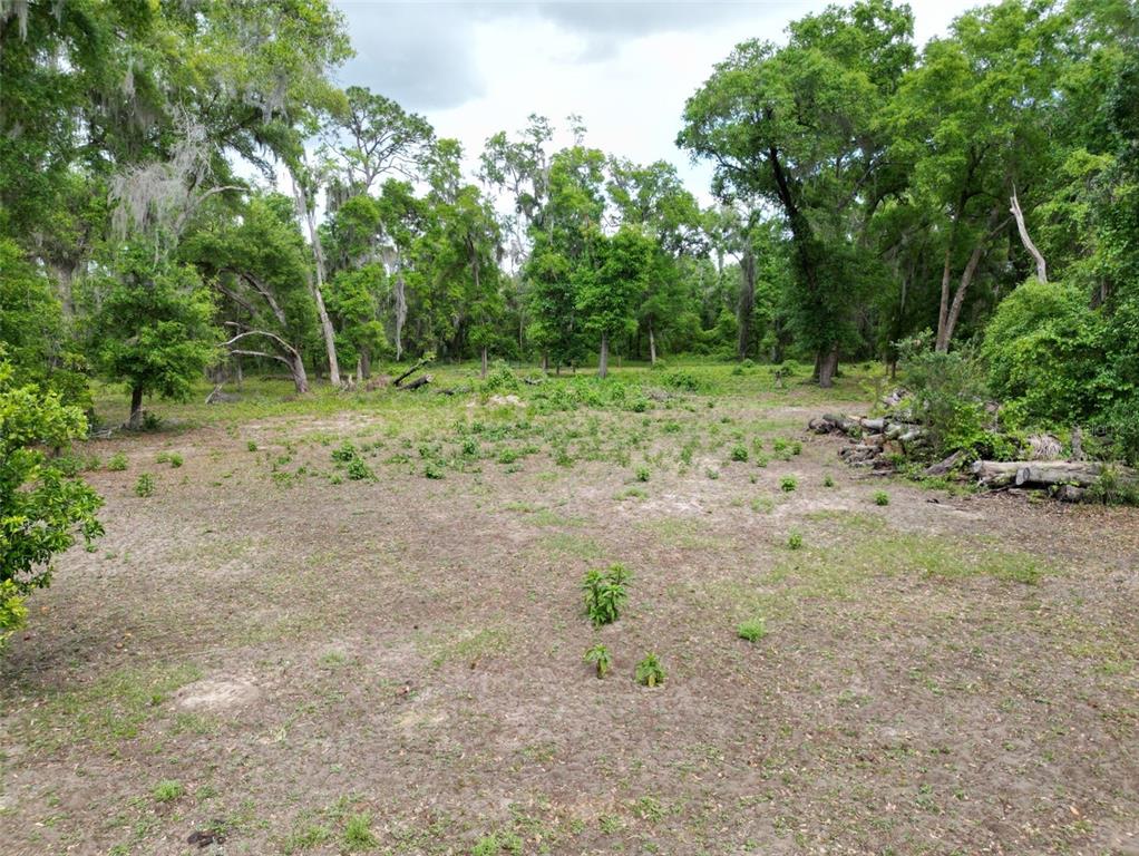 A cleared, sandy lot is surrounded by mature trees and dense vegetation — 0000 SE 119 STREET, BELLEVIEW, FL
