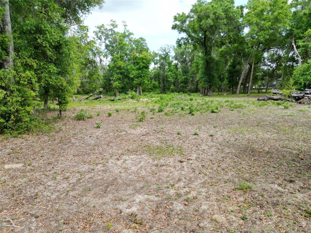 A large, cleared, sandy lot is surrounded by mature trees and dense forest vegetation — 0000 SE 119 STREET, BELLEVIEW, FL