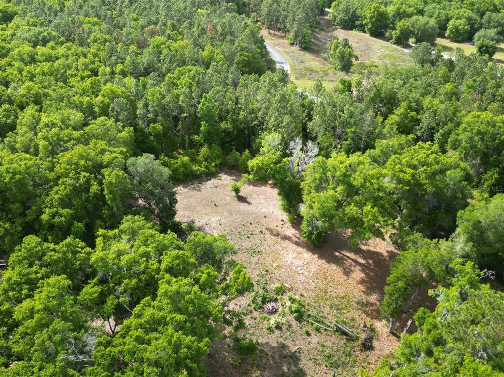 An aerial view shows a cleared, grassy lot surrounded by dense trees and a road — 0000 SE 119 STREET, BELLEVIEW, FL