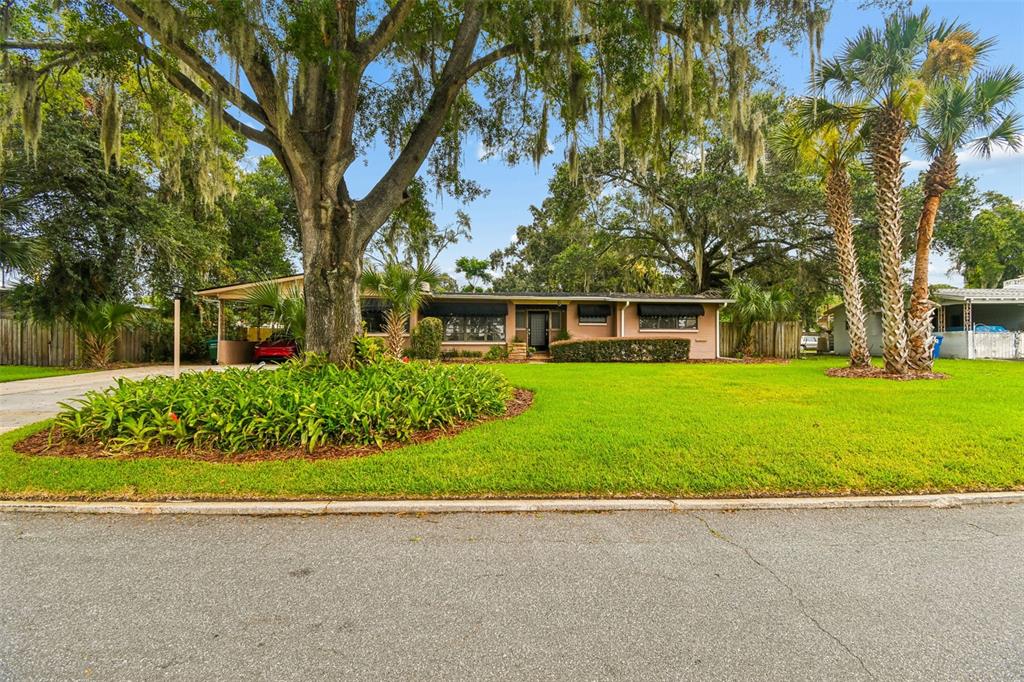 A single-story house with a large oak tree in the front yard and palm trees — 228 RIPPLING LANE, WINTER PARK, FL