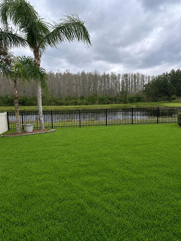 17812 SOUTER LANE, LAND O LAKES, FL — photo 3 of 3