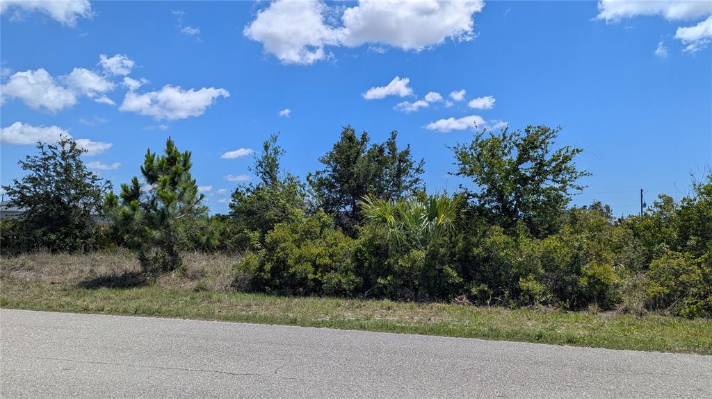 A paved road runs in front of a vacant lot covered in trees and shrubs — 13493 ABUTILON LANE, PORT CHARLOTTE, FL