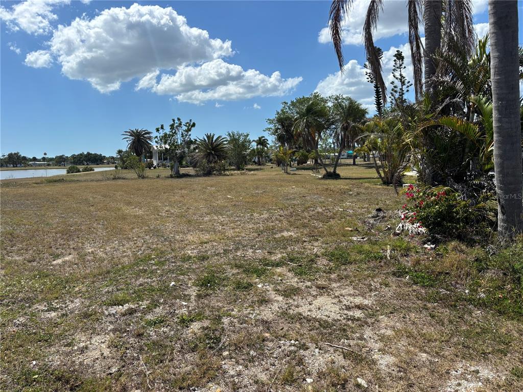A grassy, vacant lot features scattered palm trees and a view of a nearby pond — 7357 ADANA AVENUE, PORT CHARLOTTE, FL