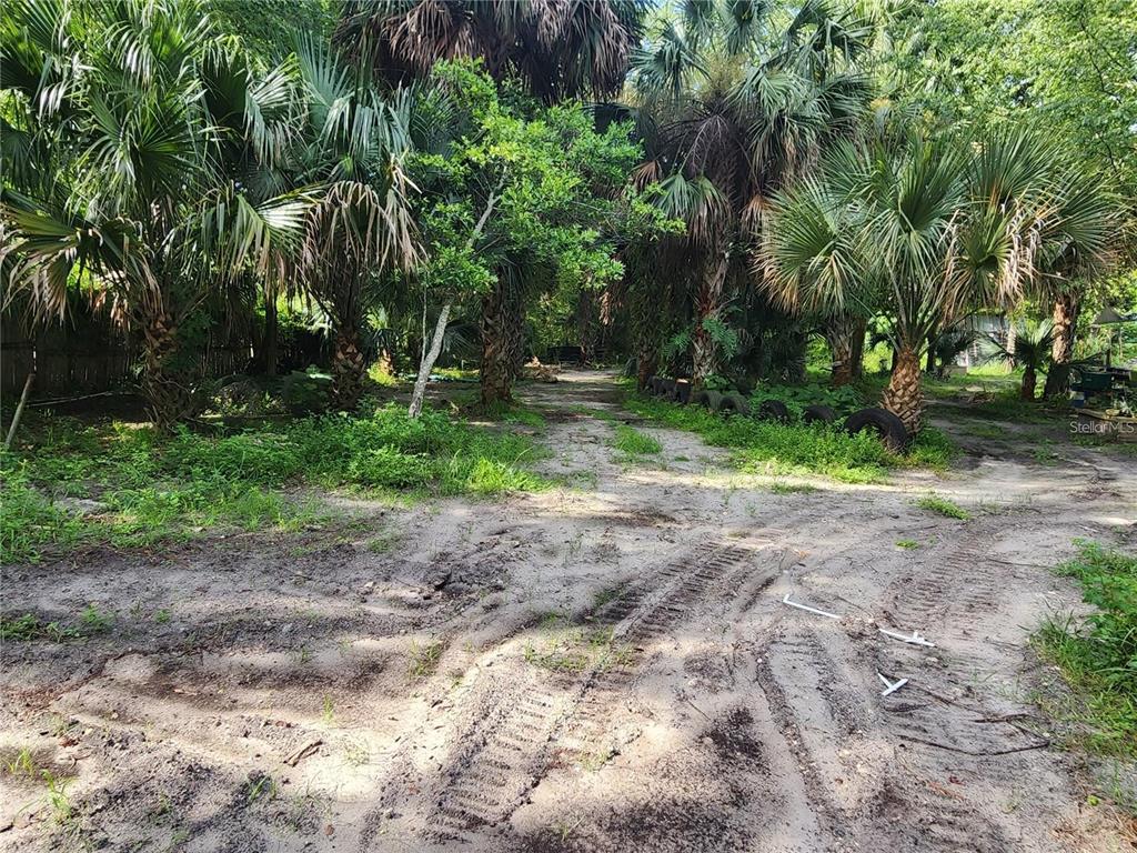 A dirt path leads through a wooded area with palm trees and scattered tires — SANFORD AVENUE, SANFORD, FL