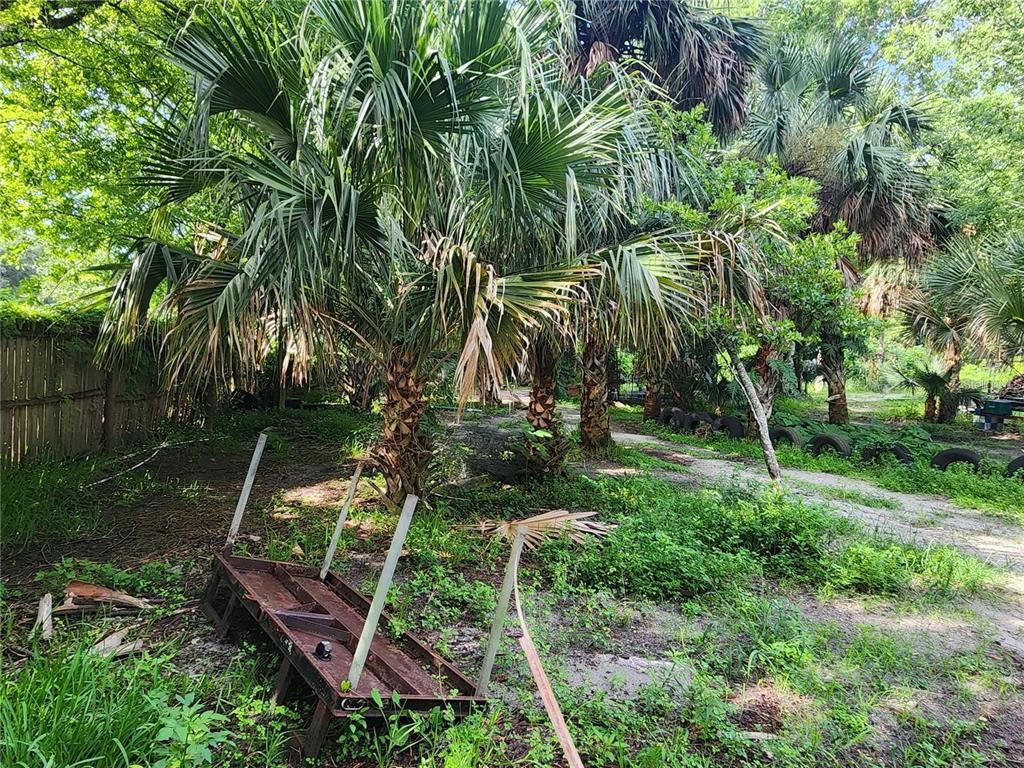 A backyard area features several palm trees, a wooden fence, and a metal trailer frame — SANFORD AVENUE, SANFORD, FL