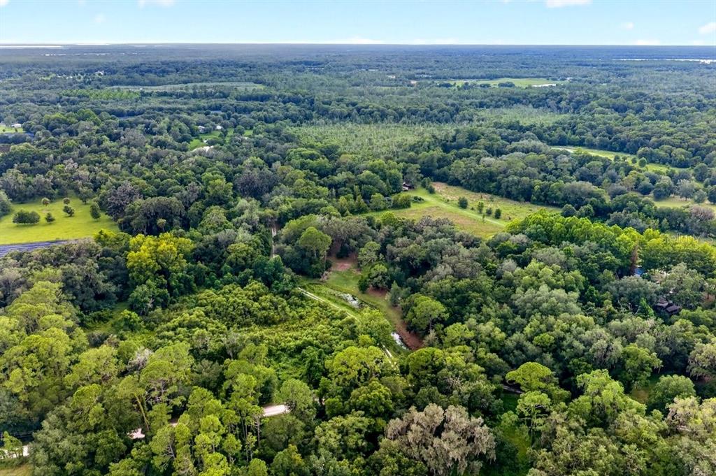 An aerial view shows a dense, wooded landscape with a winding dirt path and clearing — 1980 LAKE HIRES ROAD, DE LEON SPRINGS, FL