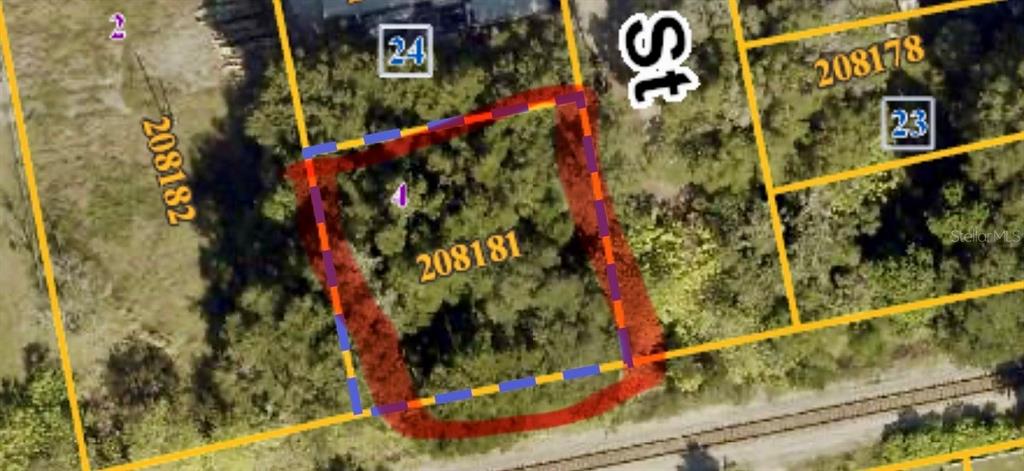 This is an aerial map showing a wooded lot outlined in red and blue — S FRANKLIN STREET, PLANT CITY, FL