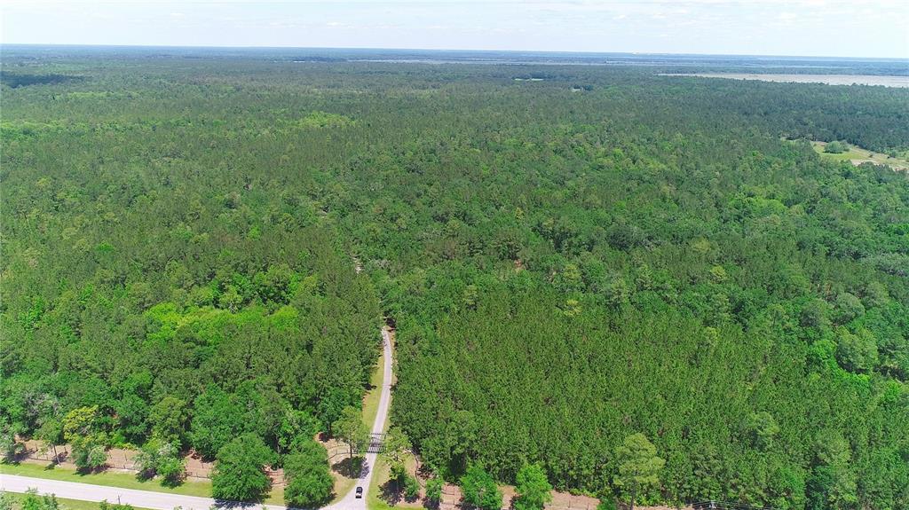 15305 NW HWY 320, MICANOPY, FL — photo 4 of 30