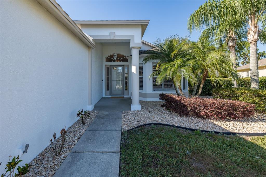 A concrete walkway leads to the covered front entrance of a white stucco house — 11428 HIDDEN COVE COURT, TRINITY, FL