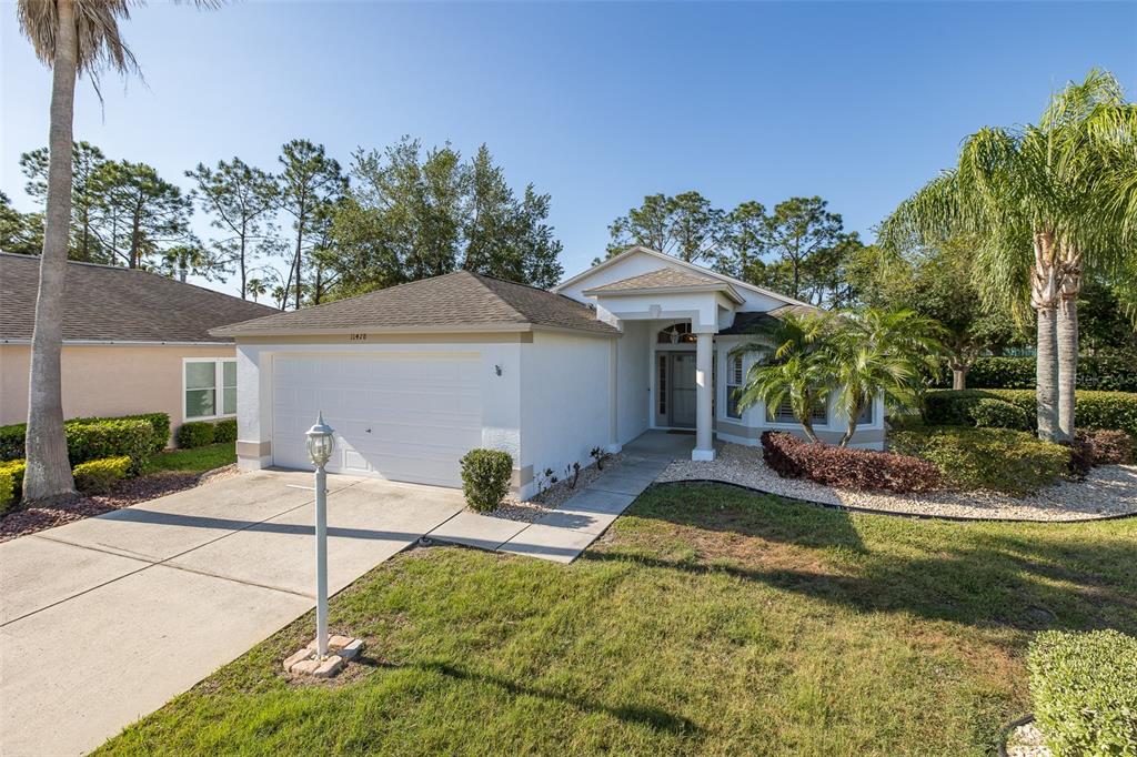 A single-story house with a white stucco exterior, a two-car garage, and a palm tree — 11428 HIDDEN COVE COURT, TRINITY, FL
