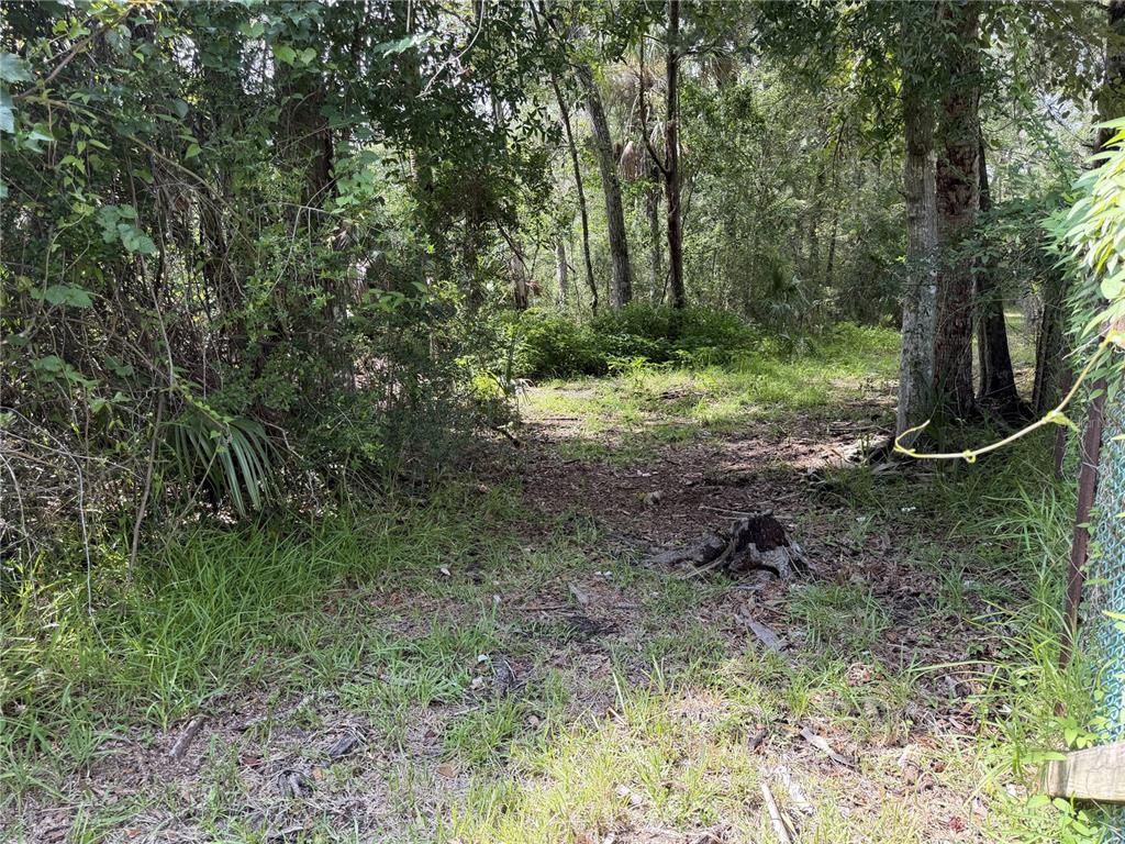 A wooded lot with a dirt path leading into a dense forest of trees — 10991 W LONDON LANE, HOMOSASSA, FL