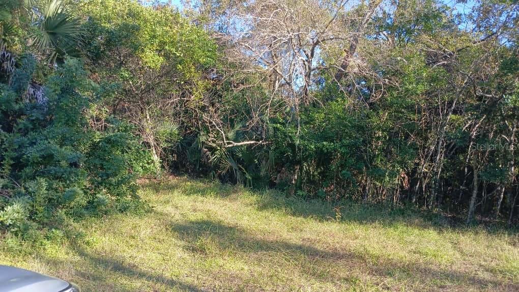 AVENUE O, ORMOND BEACH, FL — photo 2 of 5