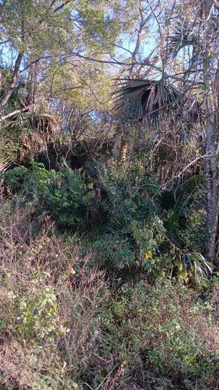 AVENUE O, ORMOND BEACH, FL — photo 4 of 5