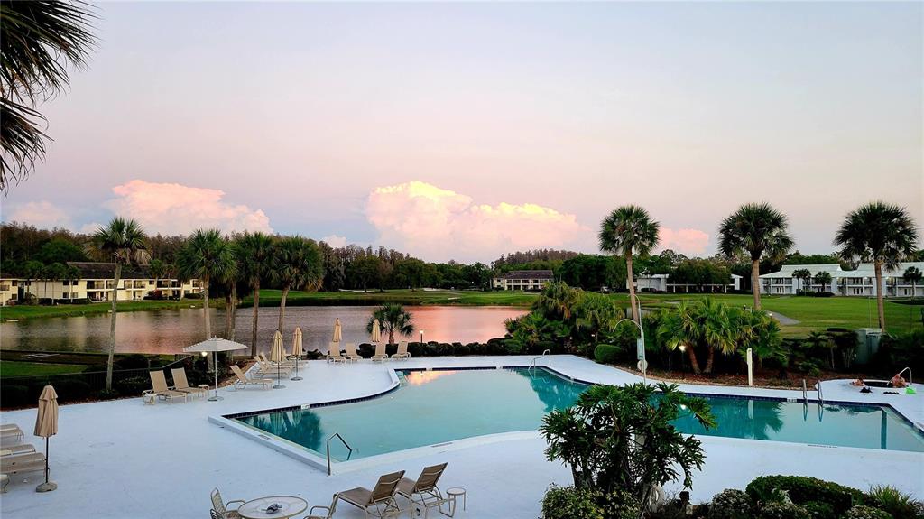 A swimming pool sits on a patio overlooking a lake and multi-story residential buildings — 29130 BAY HOLLOW DRIVE UNIT 3312, WESLEY CHAPEL, FL
