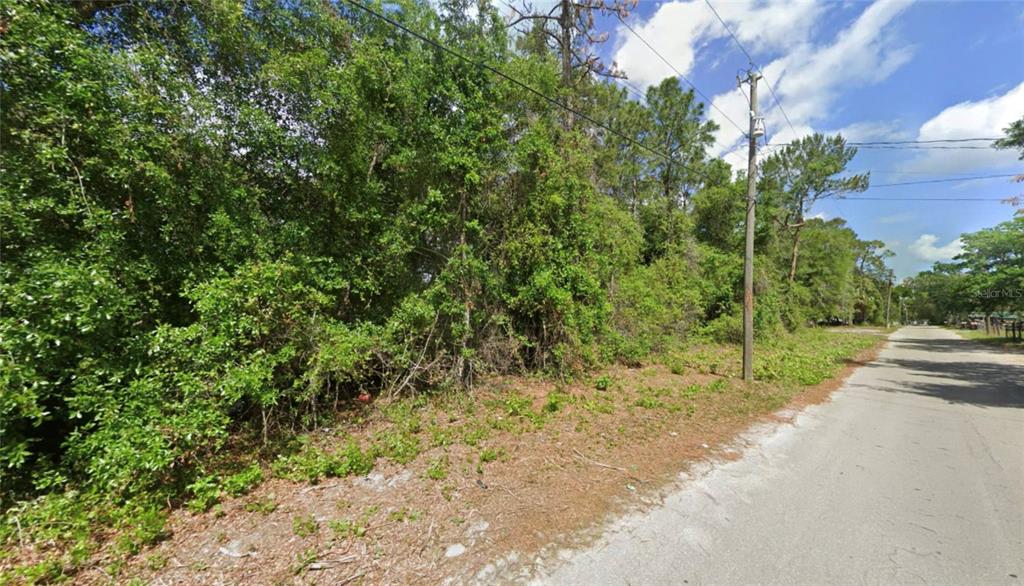 A vacant, wooded lot sits alongside a paved road under a partly cloudy sky — TBD SE 129 CT, SILVER SPRINGS, FL