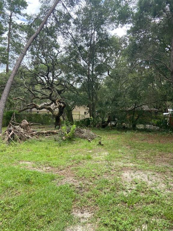 A grassy, wooded backyard features a large, uprooted tree and a chain-link fence — 0 HILLTOP DRIVE, NEW PORT RICHEY, FL