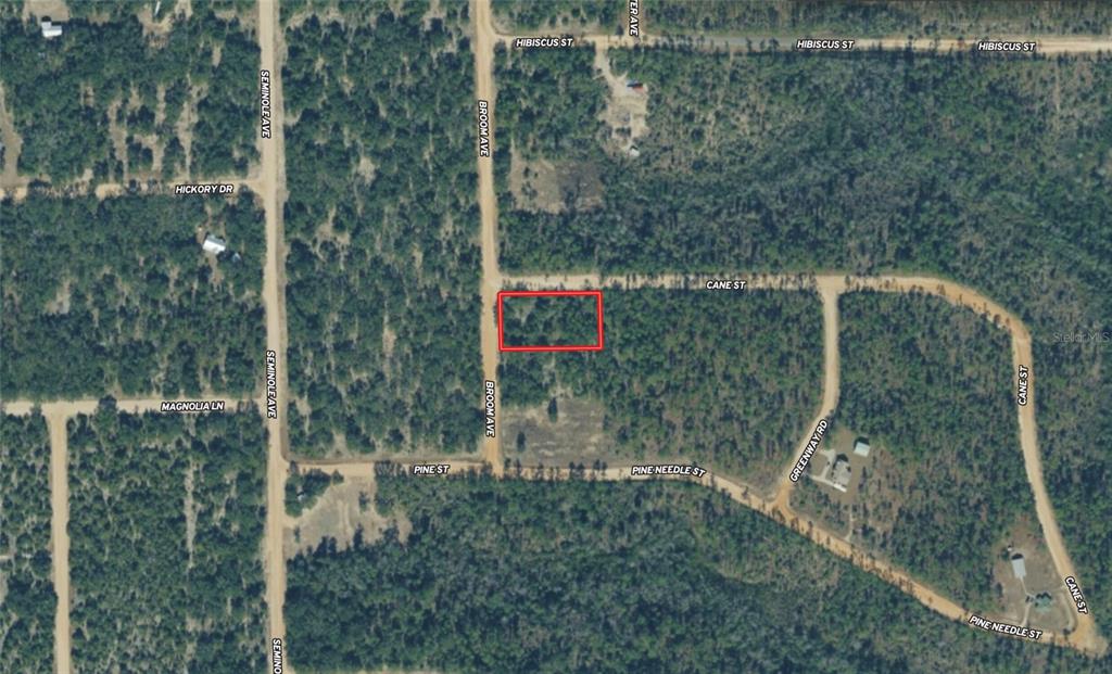 This is an aerial map view of a rectangular plot of land outlined in red — BROOM AVENUE, MARIANNA, FL