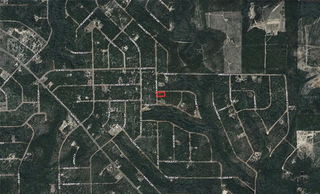 An aerial map view shows a red-outlined property lot situated within a wooded residential neighborhood — BROOM AVENUE, MARIANNA, FL