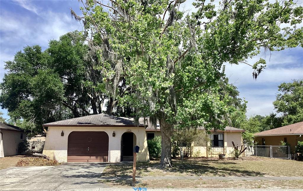 12830 LAKE TREE LANE