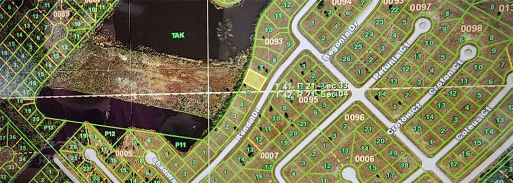 This is a plat map showing residential lots along Rondo Drive, Begonia Drive, and surrounding streets — 11983 RONDO DRIVE, PLACIDA, FL