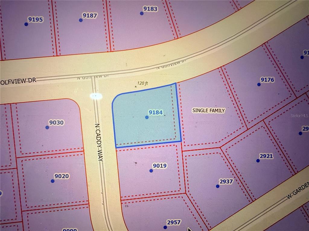 This is a digital map showing property lot lines and addresses in a residential neighborhood — 9184 N GOLFVIEW DRIVE, CITRUS SPRINGS, FL