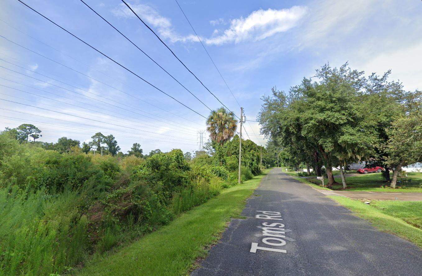 A paved road named Toms Rd winds through a rural area with trees and vegetation — 266 Toms Road, FL 32713, FL