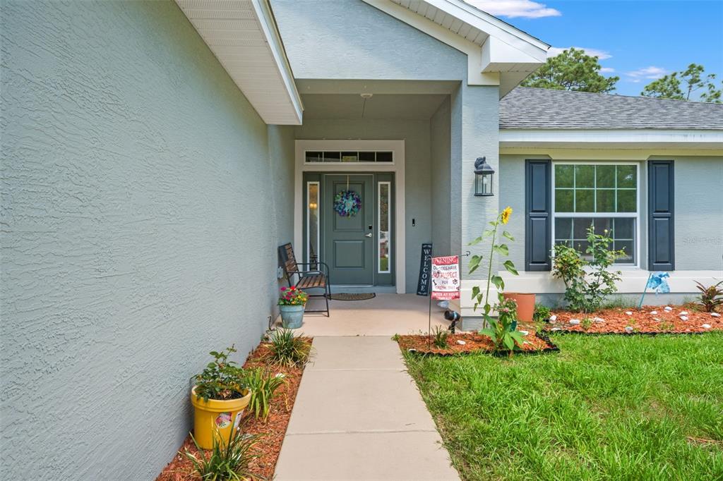 A concrete walkway leads to the covered front entrance of a light blue house — 18336 MACEK ROAD, WEEKI WACHEE, FL