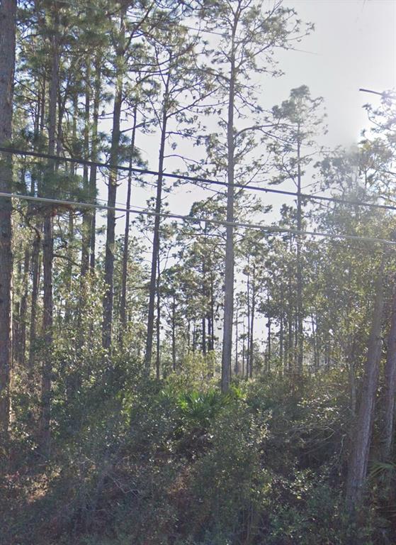 RALSTON STREET, ORLANDO, FL — photo 2 of 4