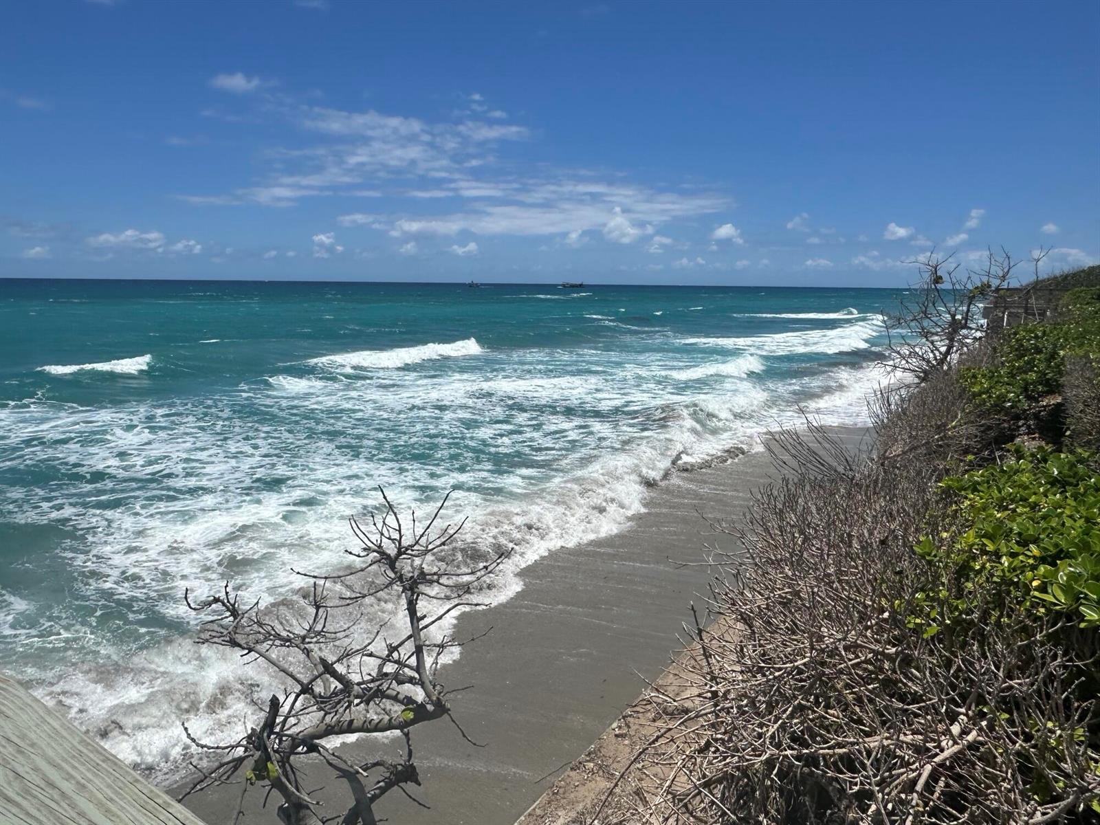 A view of a sandy beach with crashing waves, coastal vegetation, and a clear sky — 5380 N Ocean Drive # 4e, Singer Island FL 33404, SINGER ISLAND, FL