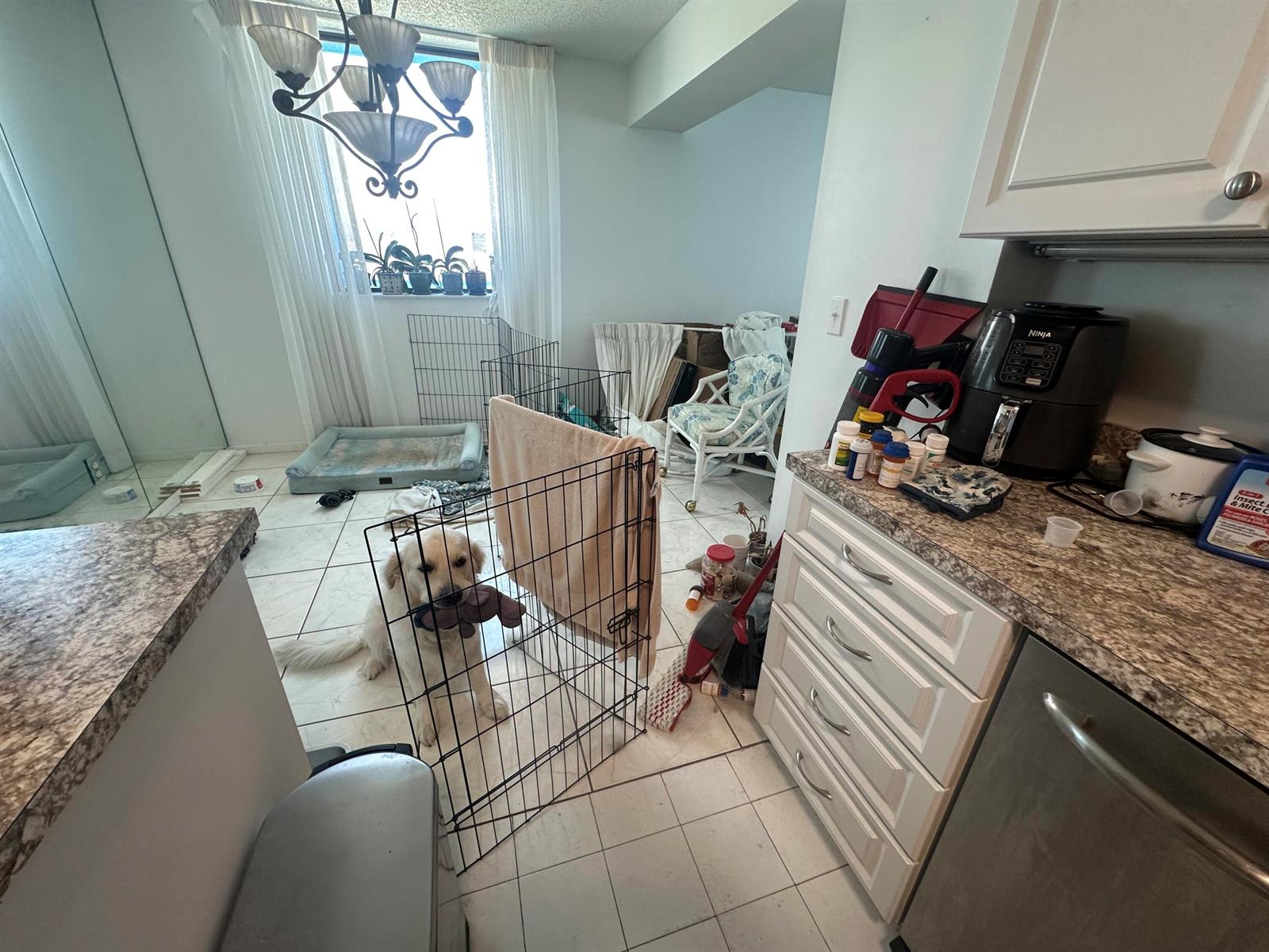 A kitchen with tile flooring, white cabinets, granite countertops, and a dog in a playpen — 5380 N Ocean Drive # 4e, Singer Island FL 33404, SINGER ISLAND, FL