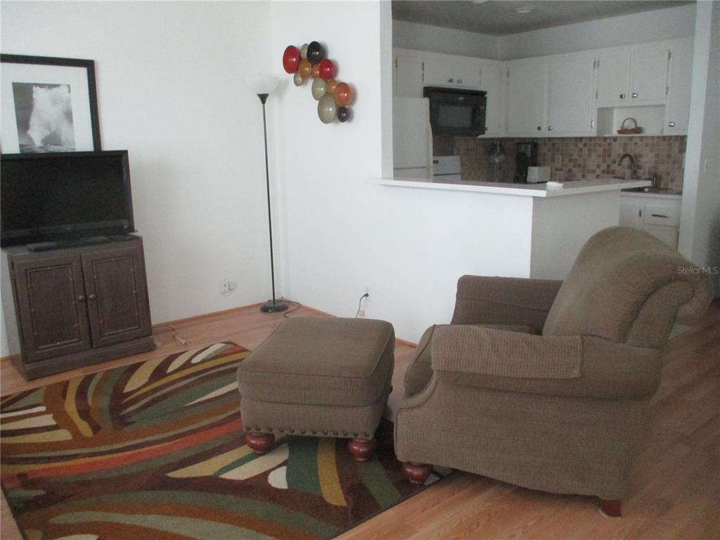 A living room with a brown armchair, ottoman, patterned rug, and an open kitchen — 101 CAMBRIDGE TRAIL UNIT 211, SUN CITY CENTER, FL