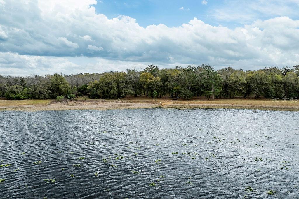 A view of a lake with lily pads and a treeline in the background — FOREST  02 ROAD, UMATILLA, FL